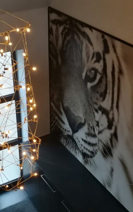 Behang laten plaatsen Turnhout, Antwerpen